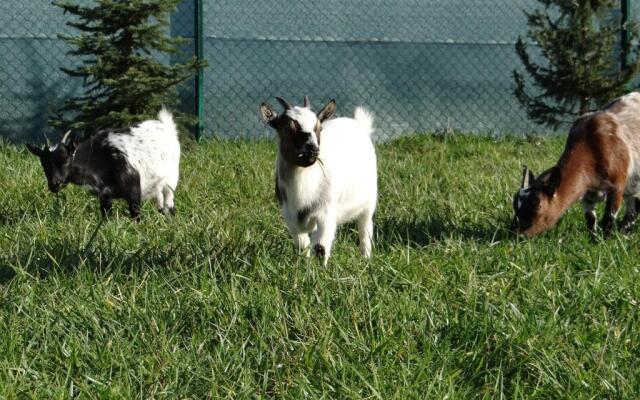 Rybárska bašta a penzión Dobys