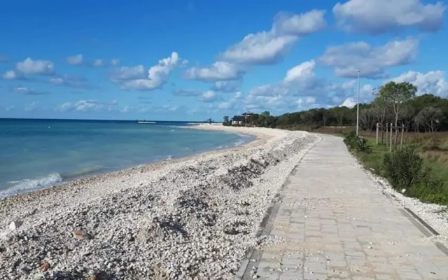 Apartment Olive Garden