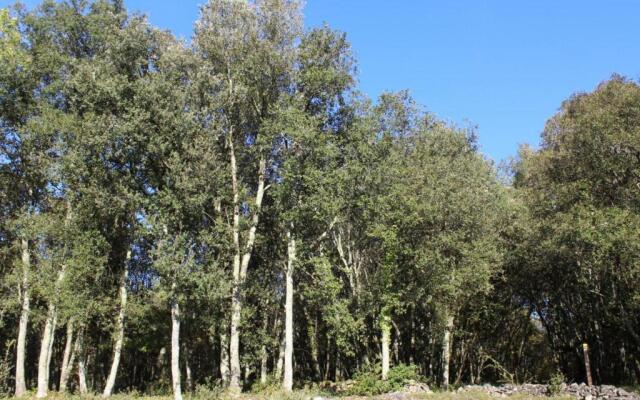 Gîte La Roque-Gageac, 2 pièces, 2 personnes - FR-1-616-28