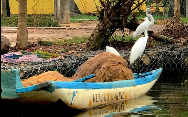 st anns holiday home negombo