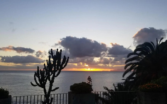 VIP Paradise Apartment