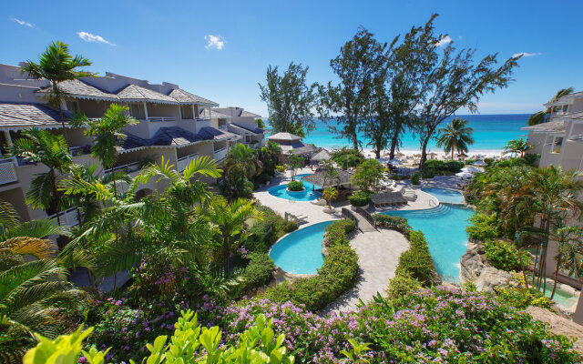 Bougainvillea Barbados