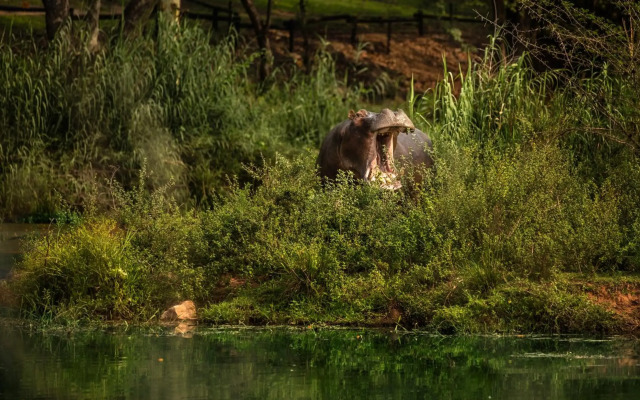 Sabi River Sun Resort