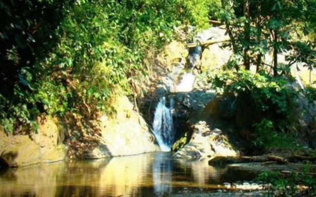 La Gamba Rainforest Lodge