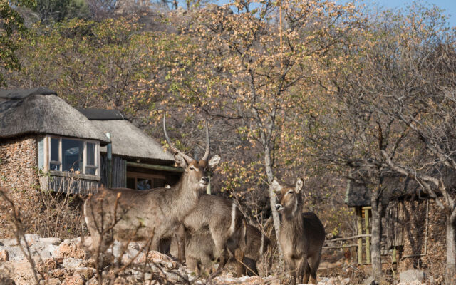 Ongava Lodge