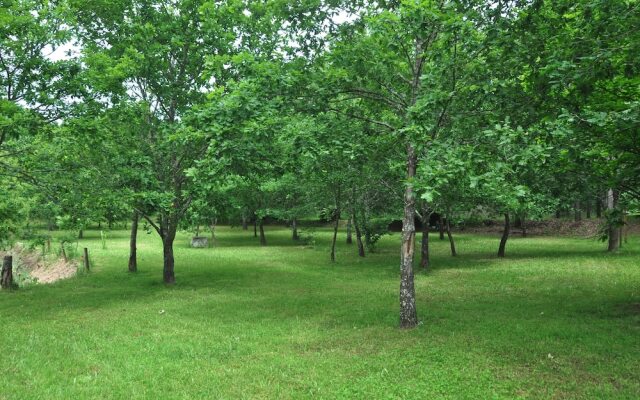 Room-paradise is Real at Vale Martinho R