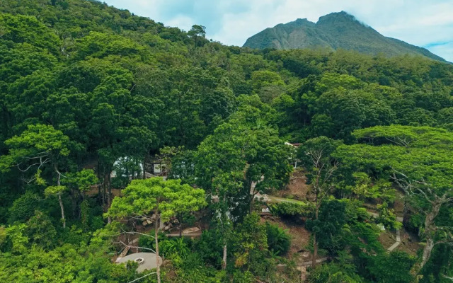 Matahom Forest Glamping Tent 1