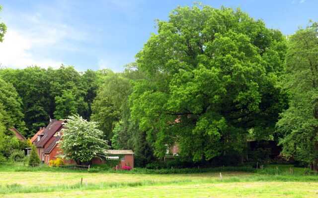 Land-Gut-Hotel Waldesruh