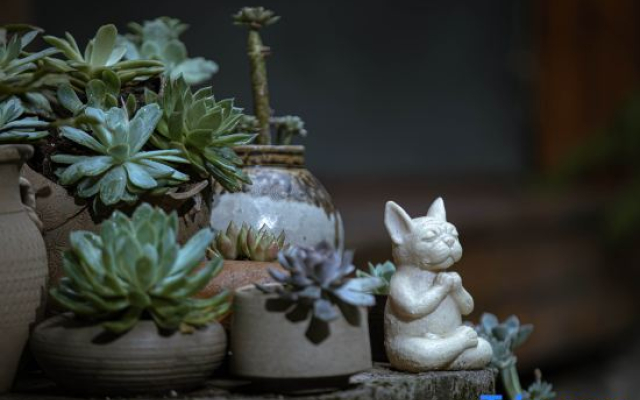 Zen Garden Inn