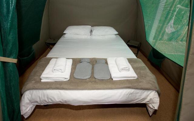 Old Mac Daddy - Campground