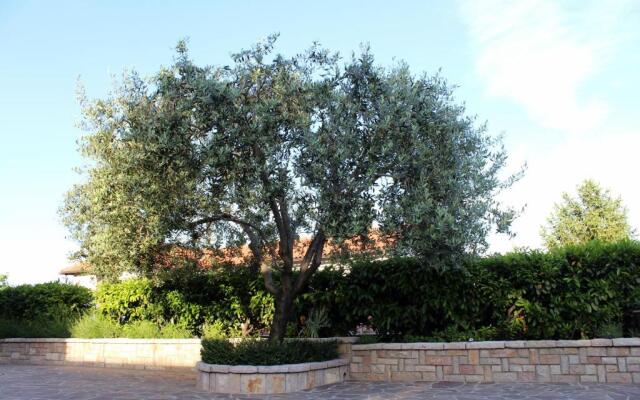 Apartments Dalia