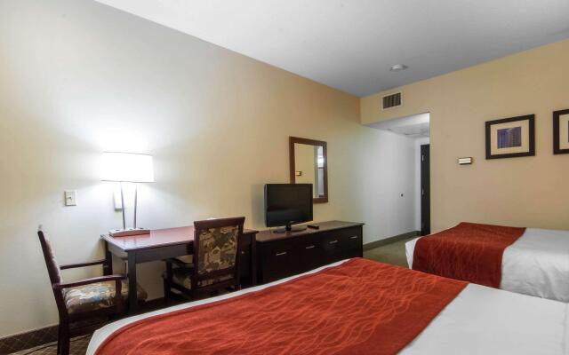 Comfort Inn & Suites Airport South