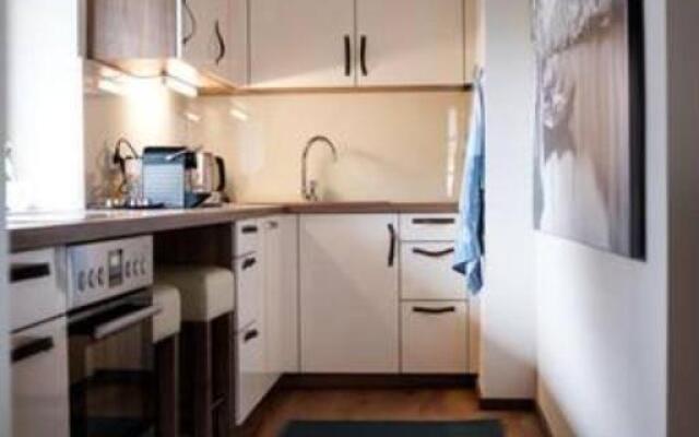 Luxus Appartement In Salzburg by Fiorentino