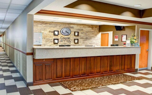 Comfort Suites Stevensville - St. Joseph