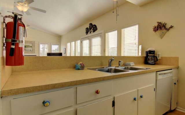 Happy Starfish LCV36