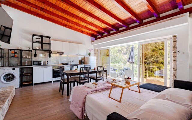 Nice Home in Vela Luka With Wifi