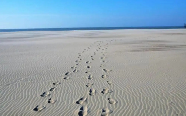 Apartment in Nieuwpoort by the Sea Wall