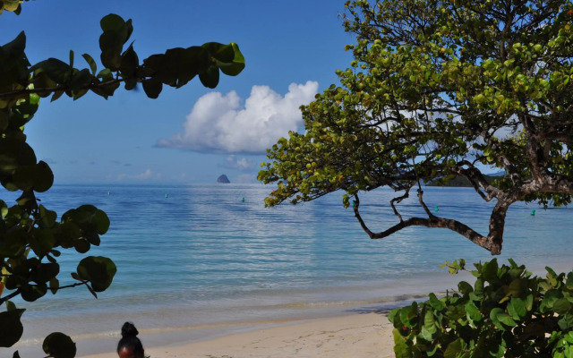 Appartement Vanille 2