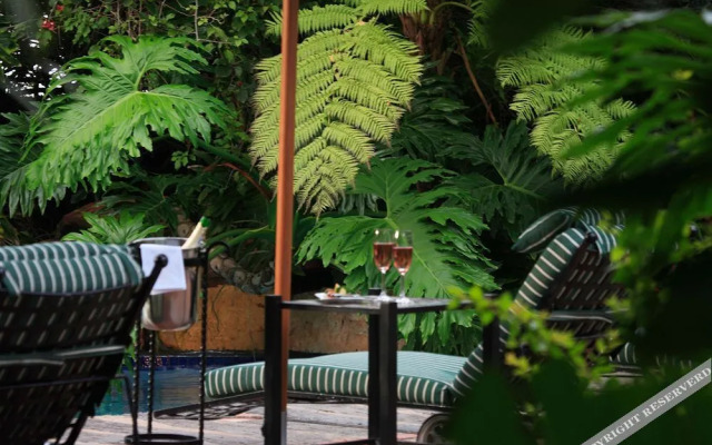 Palms Wilderness Retreat