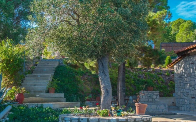 Nissi View Villa