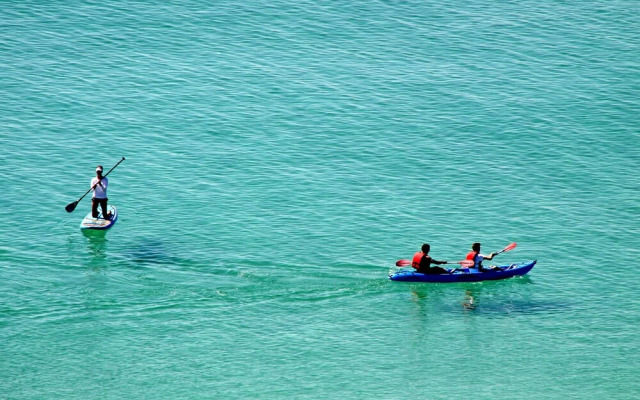 Misty Cove #129360 by RedAwning