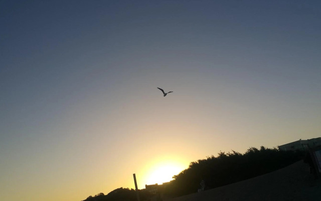 Triplex con terraza única a 50 mts del mar