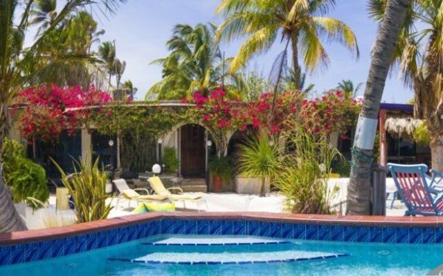 Aruba  Palm Beach House