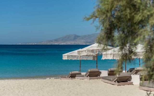 Virtu Suites