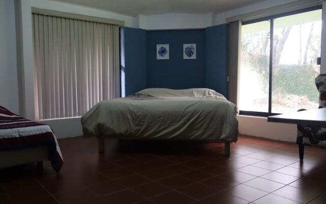 House of Ficus Banderilla,veracruz-mexico