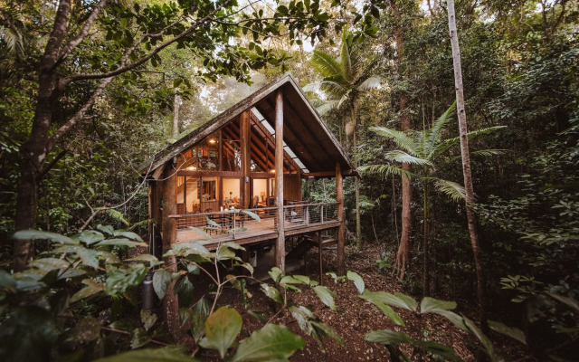 The Canopy Rainforest Treehouses and Wildlife Sanctuary