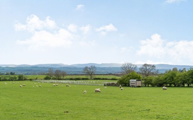 Cross Fell View