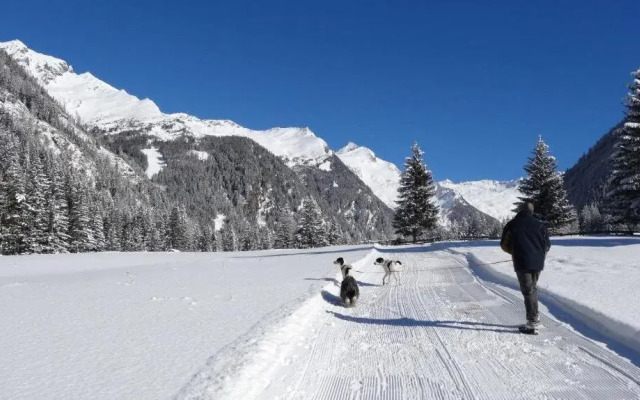 Carinthia Appartements