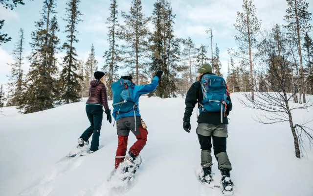Lapland Hotels Bear's Lodge