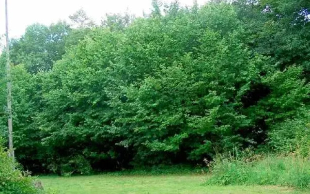 Two-Bedroom Holiday home in Laholm 2