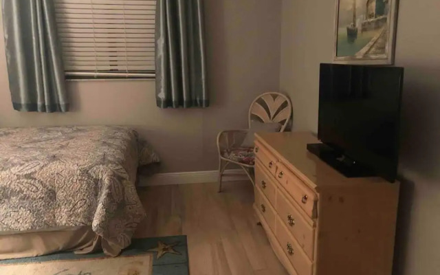 The Old Man the Sea-seaview 101