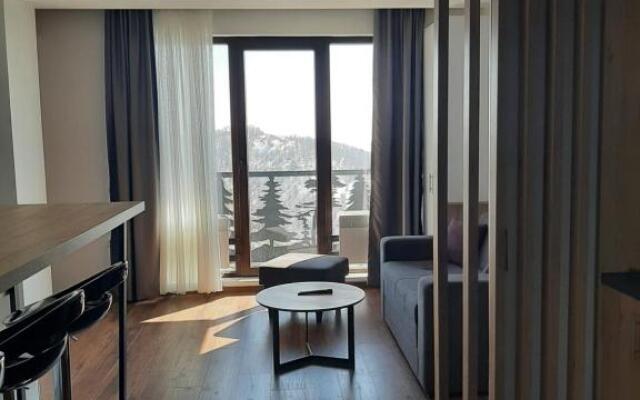 Ariš Kopaonik apartman A21
