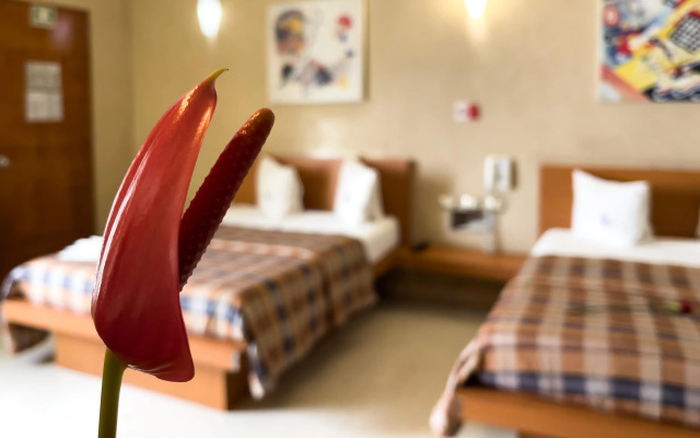 Auto-Hotel Mediterraneo