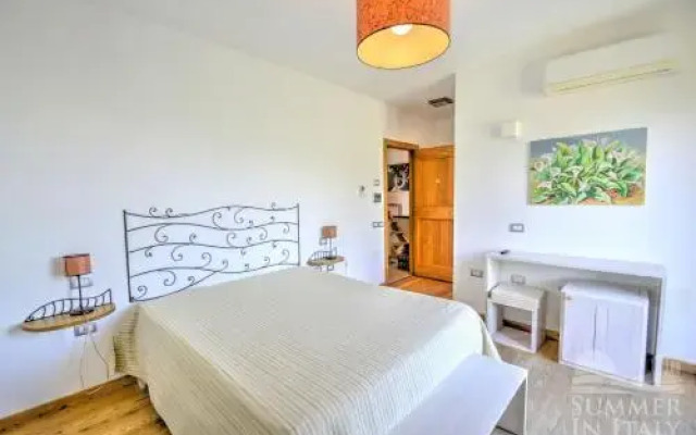 Sulle onde della collina