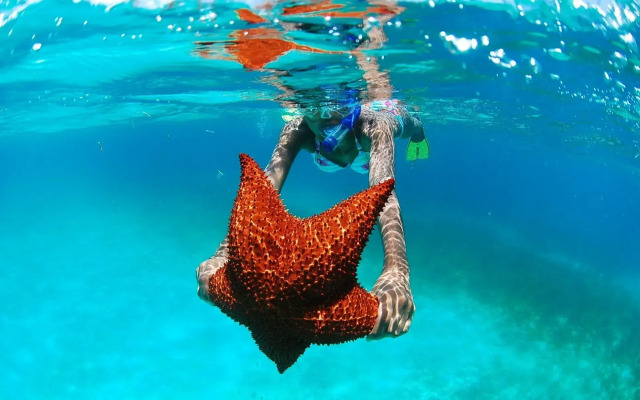 Palm Green Vacations Whitesands