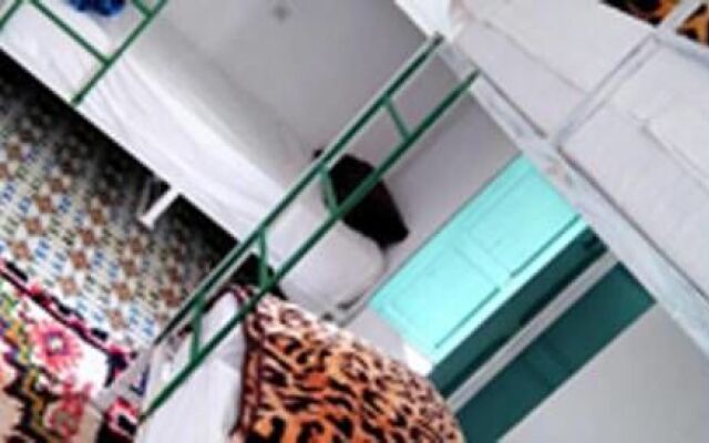 Kaktus Hostel