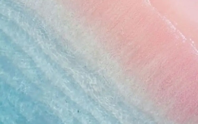 Samara II Liveaboard