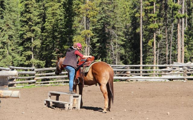 Red Cariboo Apartments