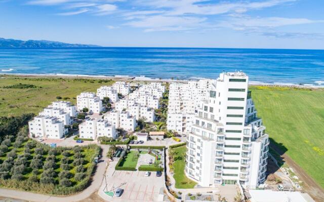 Aphrodite Beachfront Village