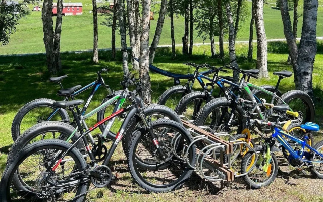 Birkelund Camping