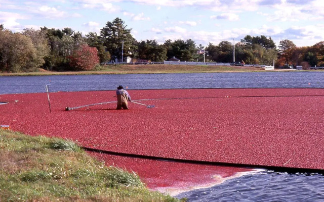 Hampton Inn Raynham-Taunton