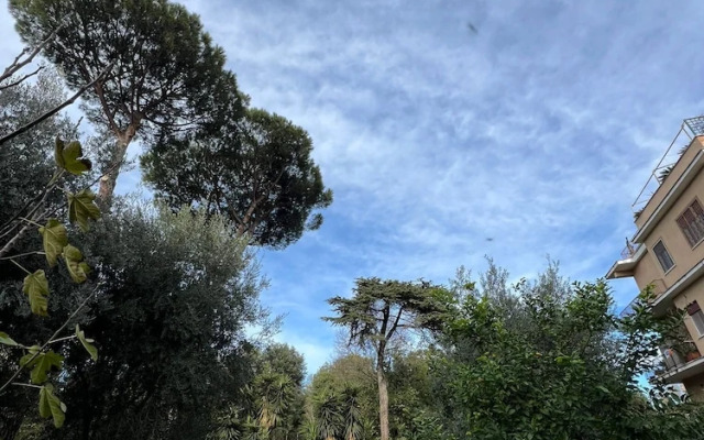 Green Park San Pancrazio