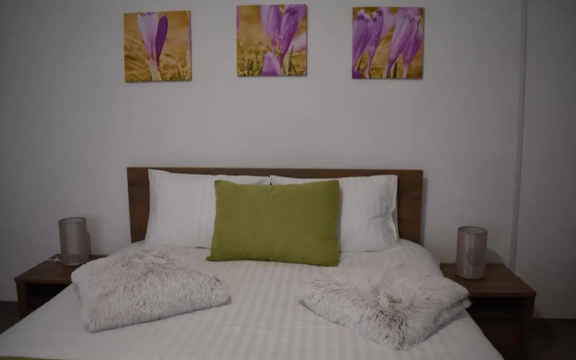 Apartament Zimbru