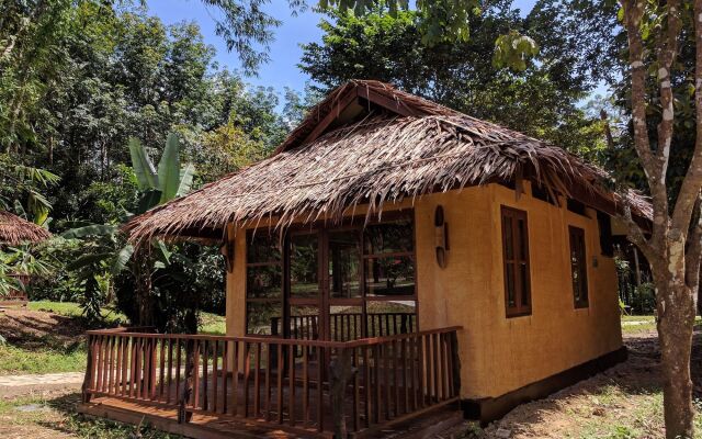 Our Jungle Camp - Eco Resort