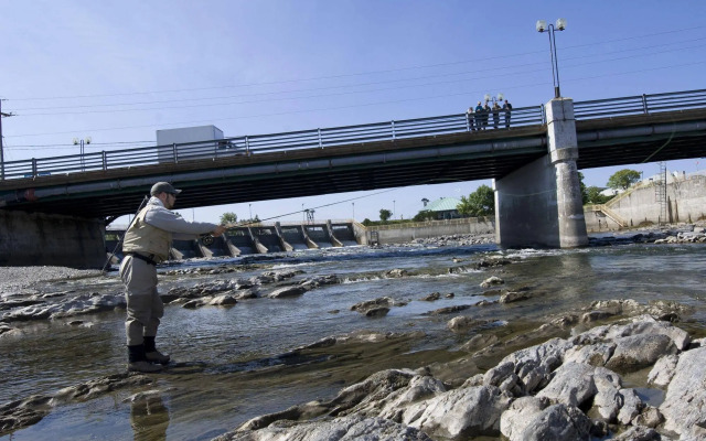 Hôtel Motel Belle Plage