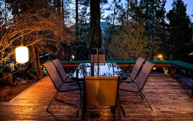 The Wilkie Cabin #339